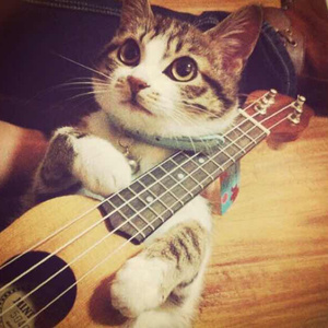 尤物国产区精品视频
